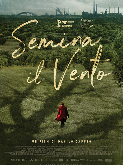 Semina il vento